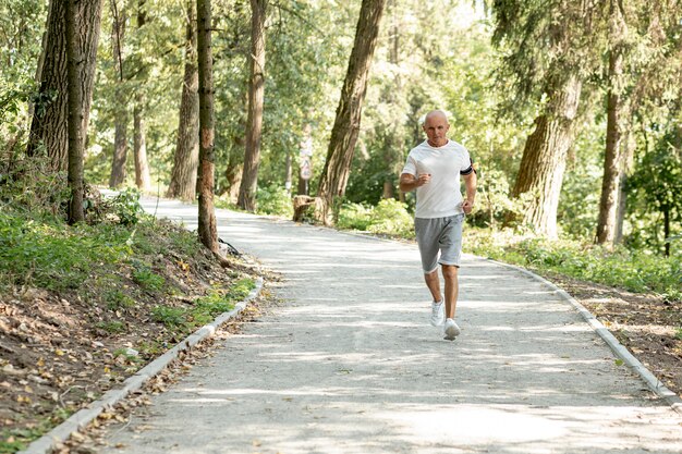Jak regularne spacery wpływają na nasze zdrowie?