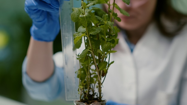 Innowacyjne metody zwiększania plonów dzięki mikrobiologicznym preparatom w rolnictwie